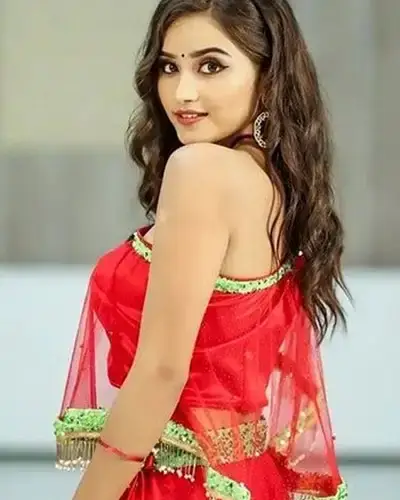 Call Girls Service Salcete